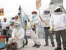 Пчеловодство Аргентины на фоне пандемии коронавируса