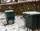 Рекордно низкие потери пчелосемей в Великобритании в зимовку 2018/2019
