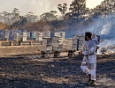 Лесные пожары в Австралии. Удар по пчеловодству