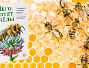 Конференция «Естественное пчеловодство - 2022» в Москве