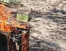 Австралийское пчеловодство восстанавливается после засухи и пожаров