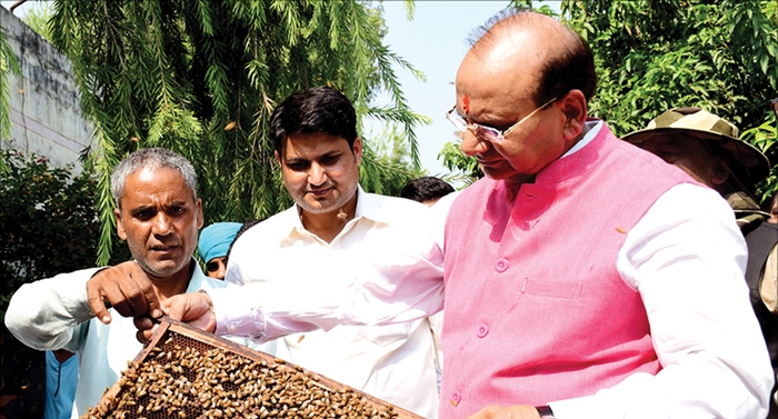 Позитивные сдвиги в пчеловодстве Индии