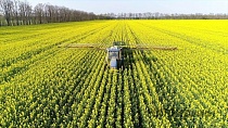 Пестициды представляют растущую угрозу для пчел Пестициды представляют растущую угрозу для пчел