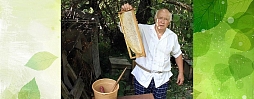 Экологическое безроевое малозатратное пчеловодство. Базовые принципы