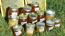 США импортируют органический мед