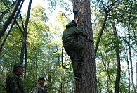 Бортевое пчеловодство: Перспективная область международного сотрудничества