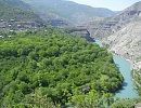 Нектароносная флора Дагестана в настоящее время
