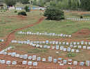 Пчеловодство Турции по данным Международной федерации пчеловодных ассоциаций - Апимондии