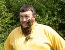 Пчеловоды России могут уменьшить налоговую ставку на развитие пасек