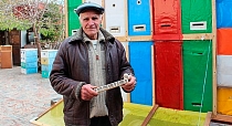 Жизнеспособность медоносных пчел Жизнеспособность медоносных пчел